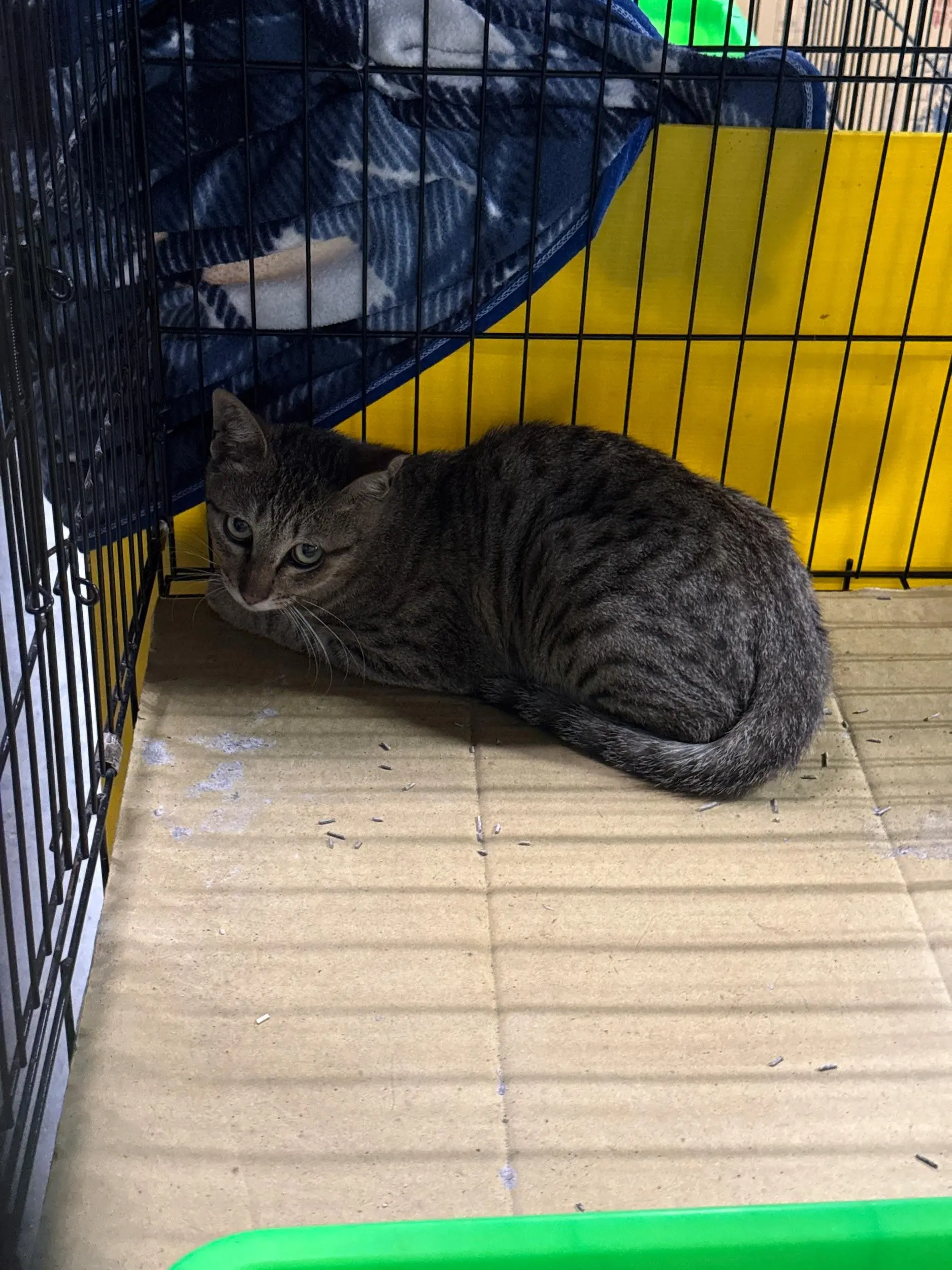 梧棲工廠1
