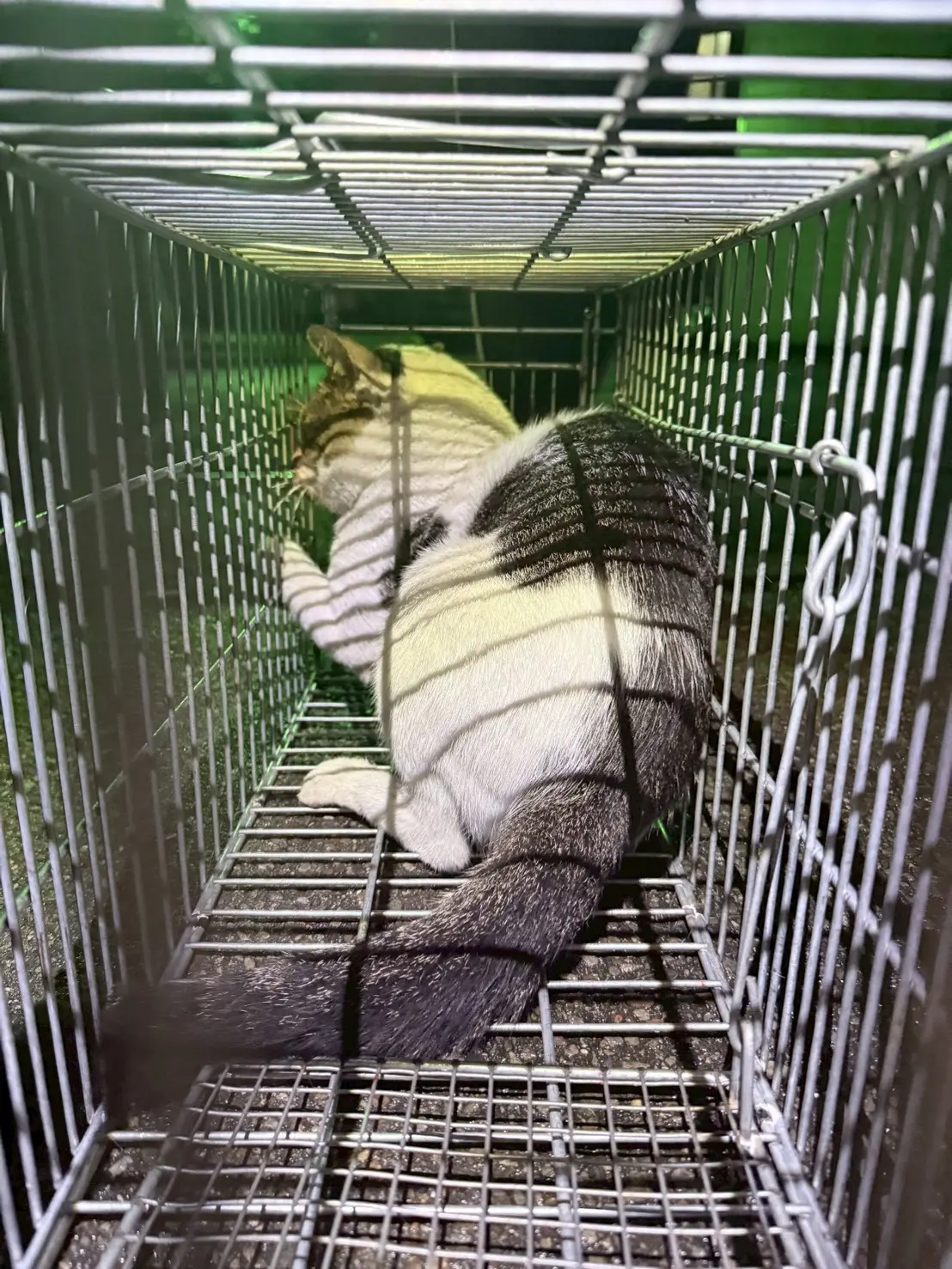 西屯工業區之1