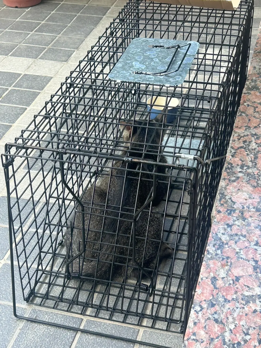 台中北屯之1
