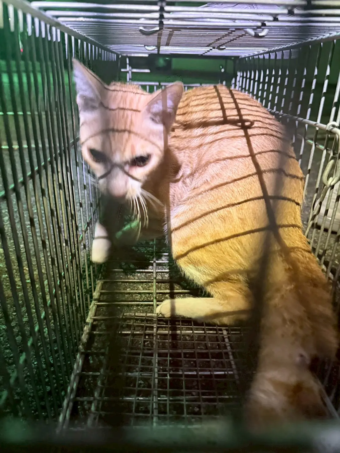 西屯工業區之5
