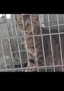 北屯區之1