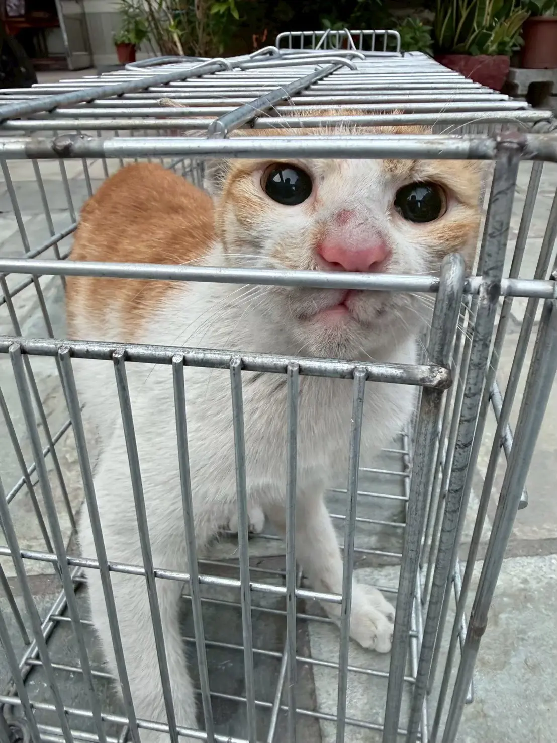 南區護理中心3