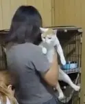 苗栗大湖之1
