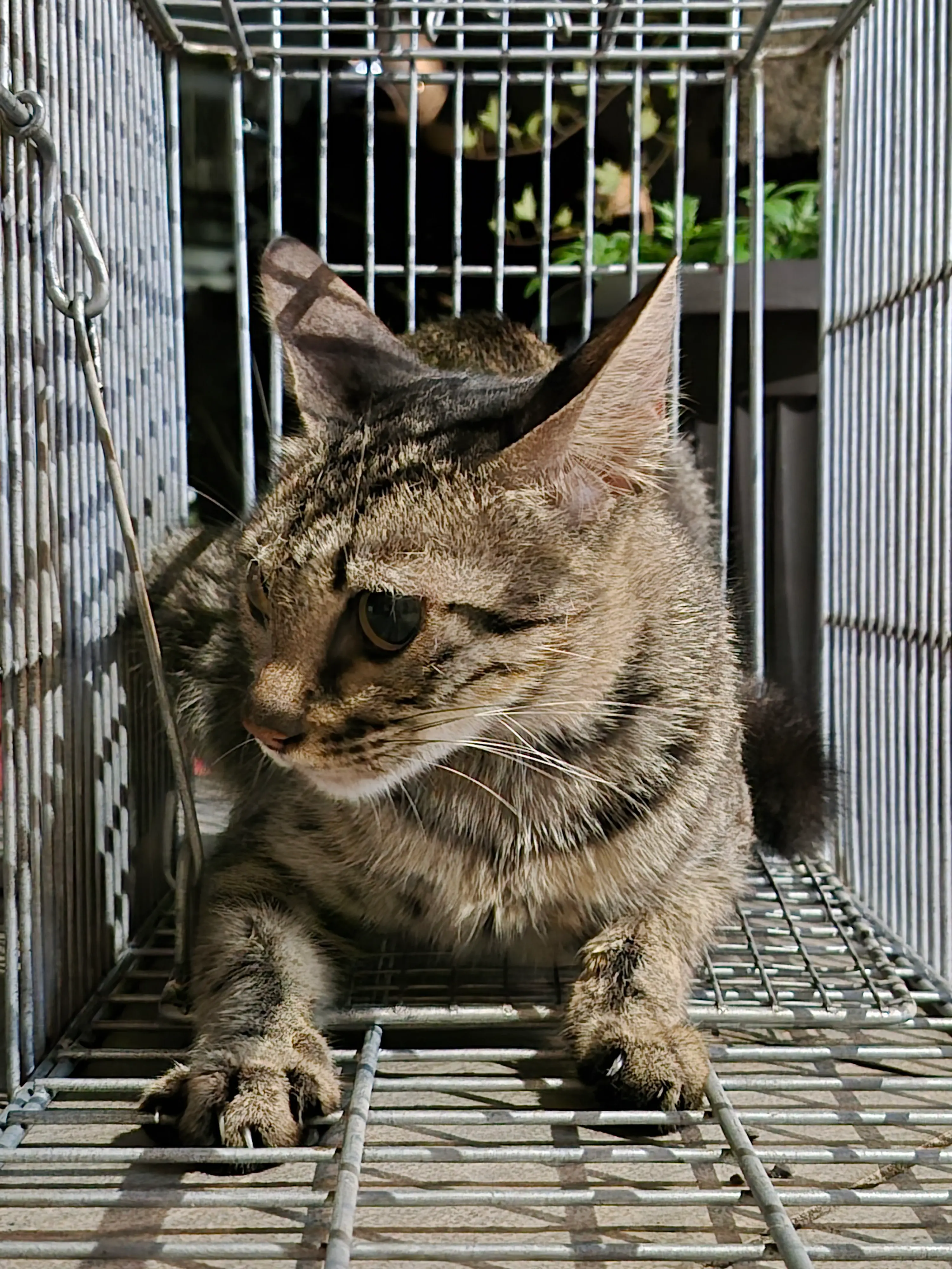 南投埔里之3
